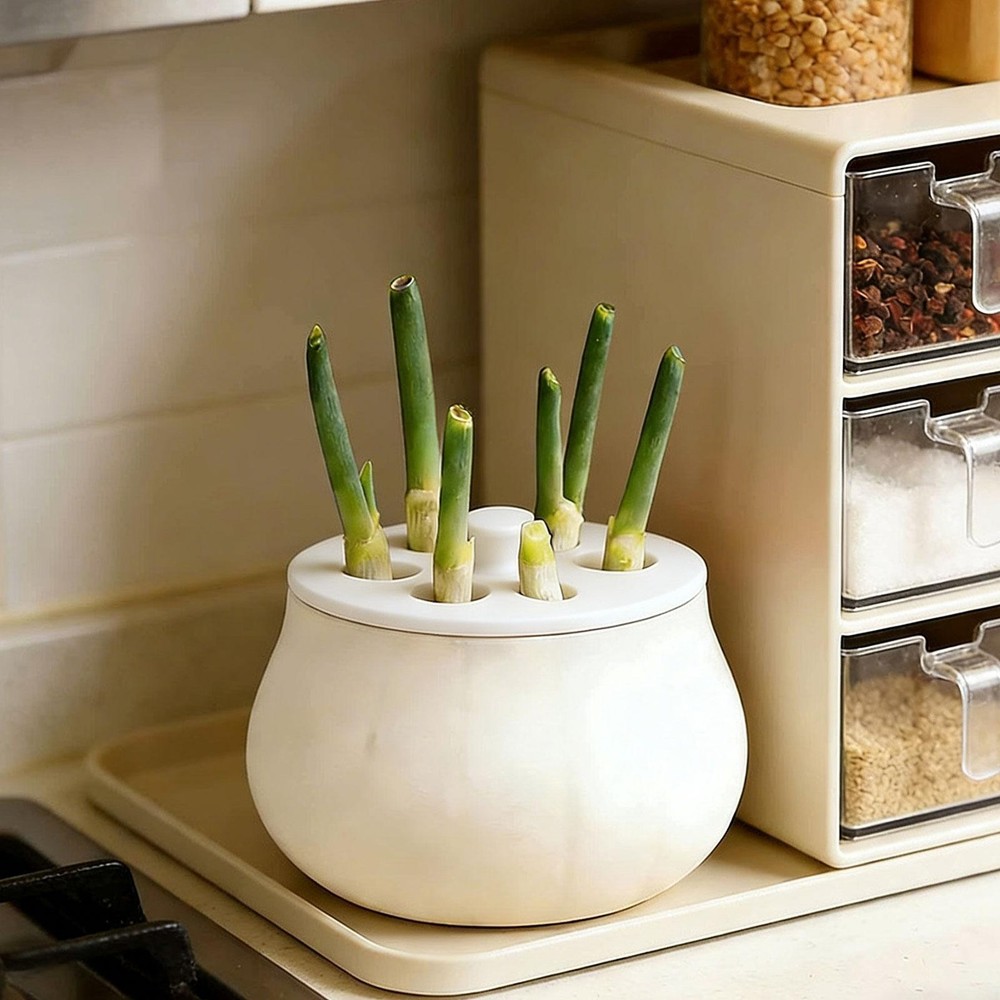 Propagation Jars with Fixed Lid Non Slip Container Sprout Maker