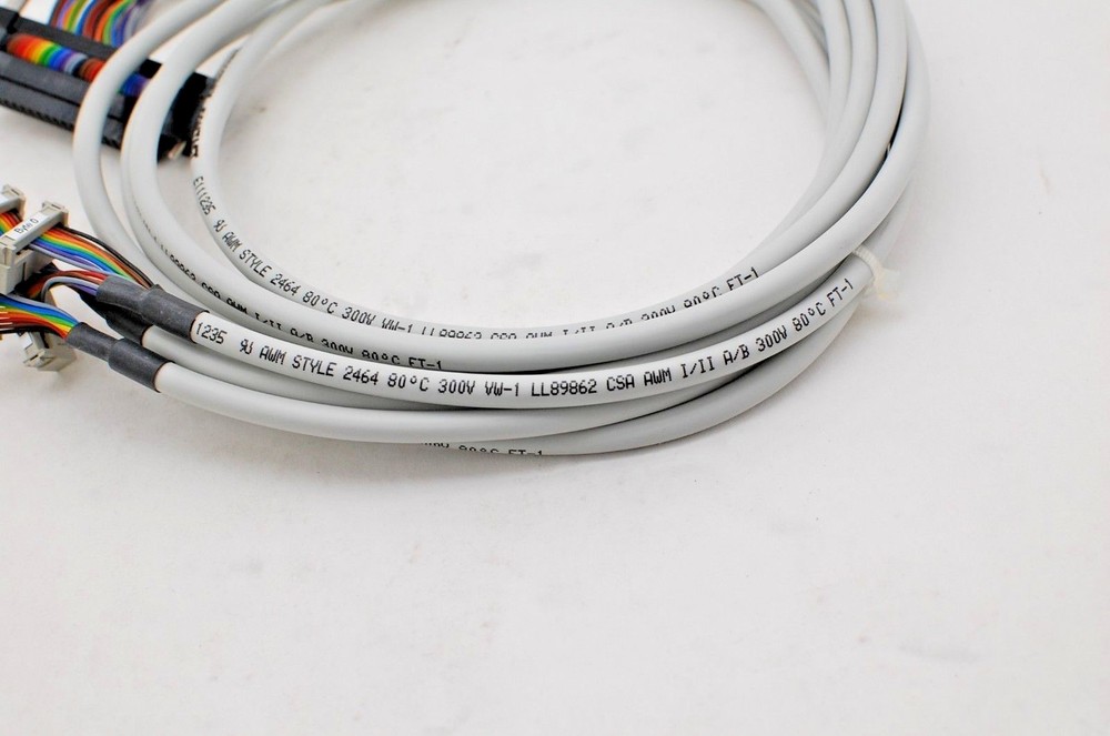 Phoenix Contact Cable 2304209