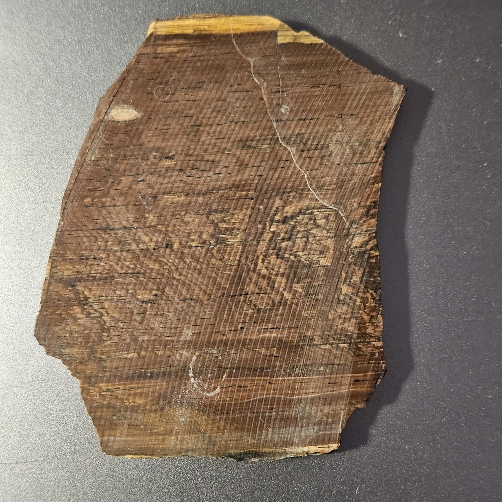 Deschutes Jasper Lapidary Slab 90 Grams