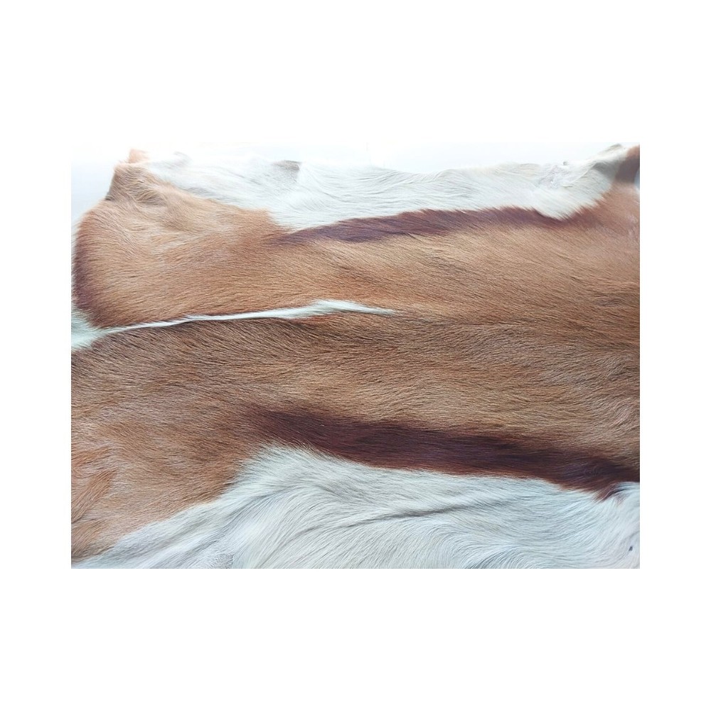 Natural Springbok Hide Authentically African