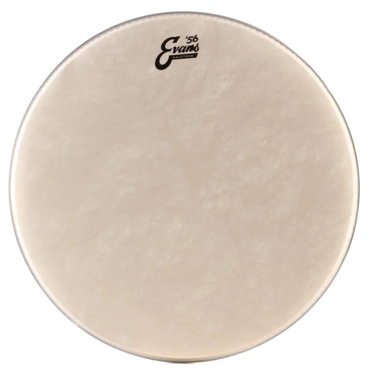 Evans Calftone Drumhead - 18"