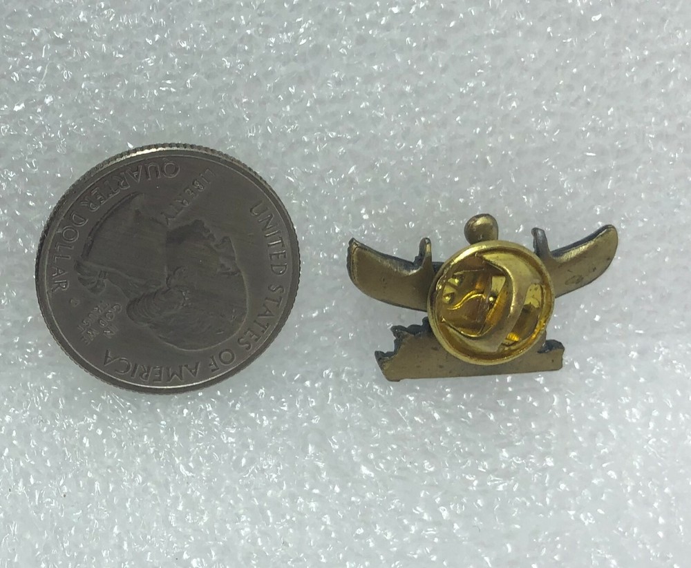 Quest For Immortality Pin