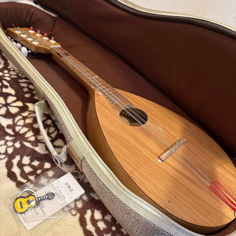 Basiko (flat mandolin) case