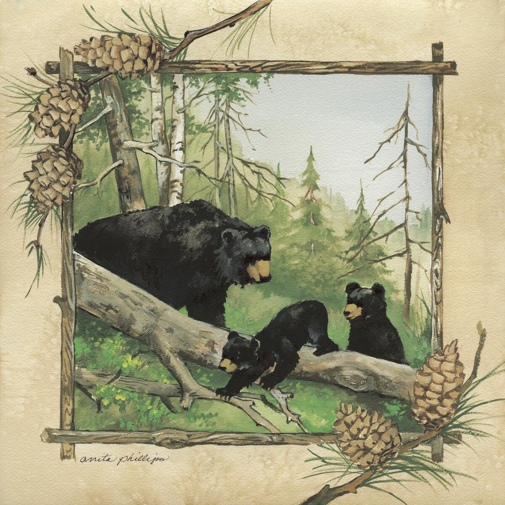 Ceramic Backsplash Tile Mural Bear Wildlife Kitchen/Bathroom - Black Bears