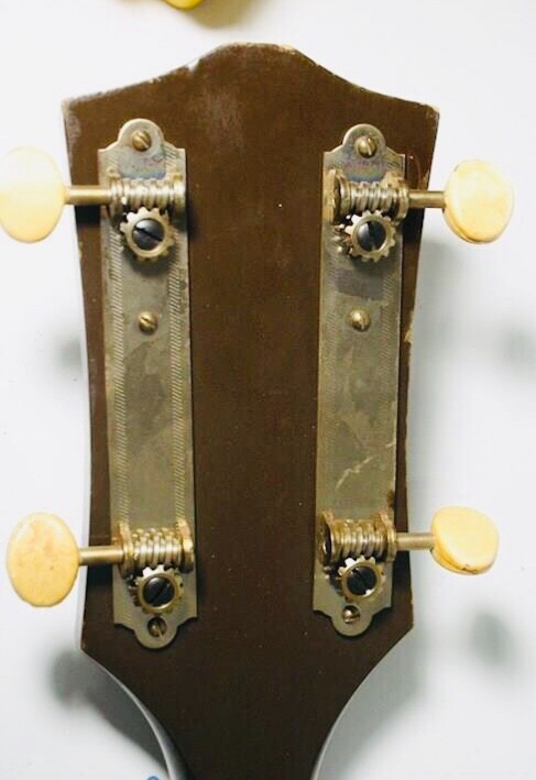 Harmony 5 String Banjo