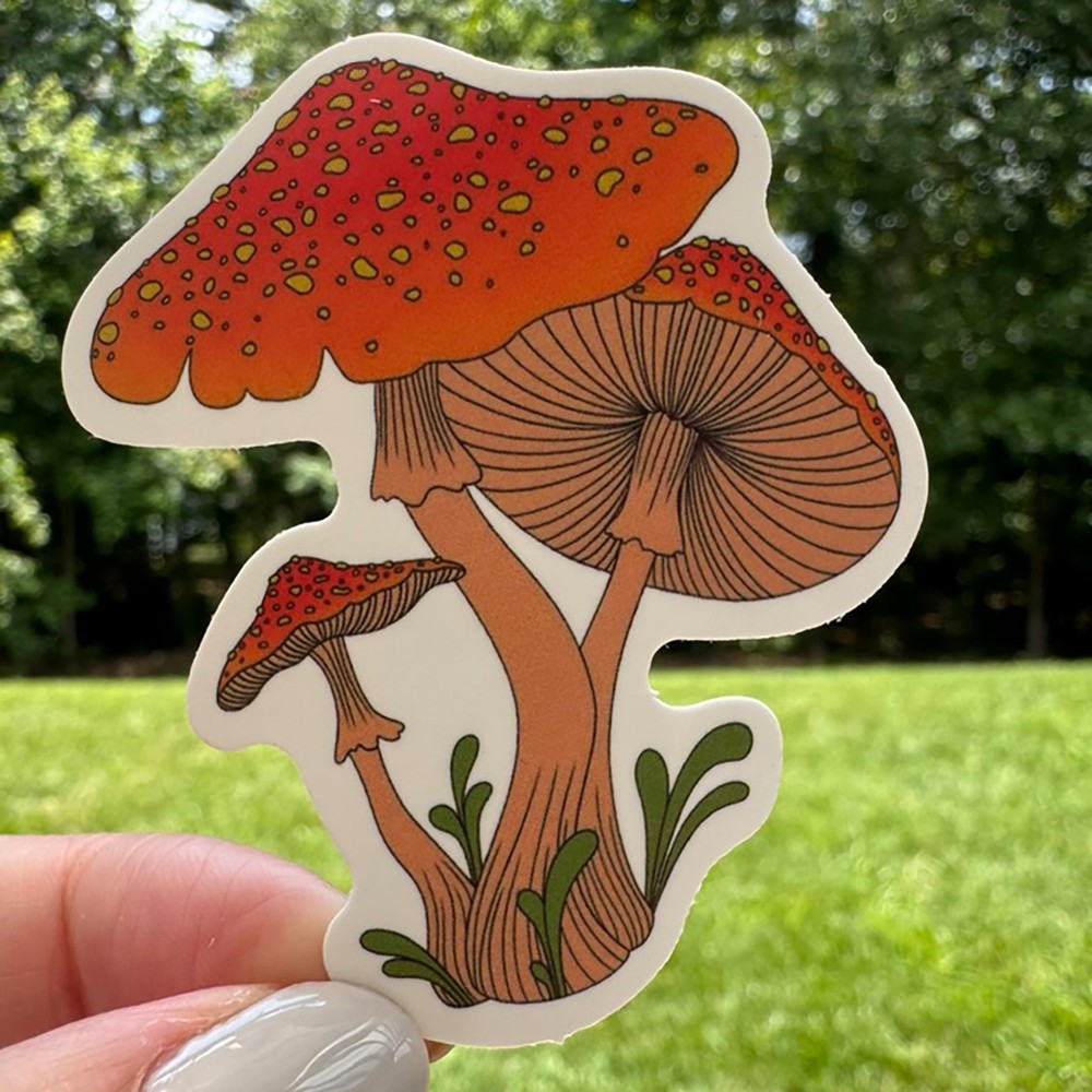MUSHROOMS fun stickers 50 decals water bottle computer