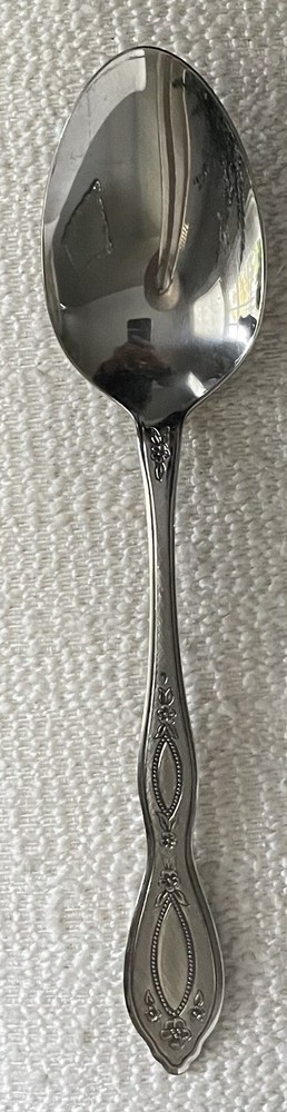 Oneida ANTHEM Stainless Oneidaware Burnished Handle Serving Spoon EXCELLENT