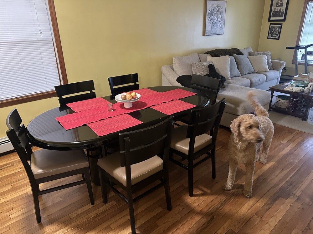 Black Oval Expandable Dining Table & 8 Chairs - Sits 10