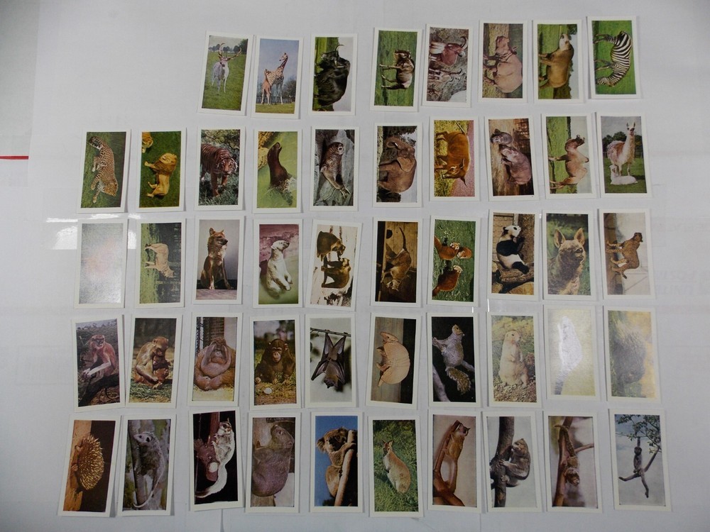 Hornimans Tea Cards Wild Animals Complete Set 48
