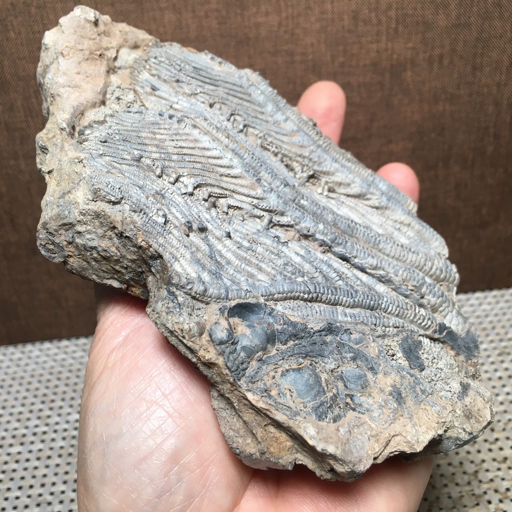508g Natural crystal specimens md3198