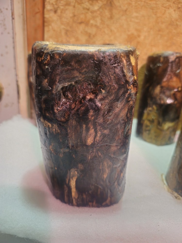 White Ash Trunk Eye Scars