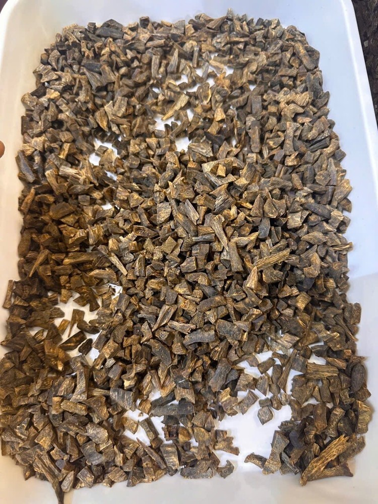 Old White Kynam Agarwood Chunks 100% Sinking From HaiNam 5Gram