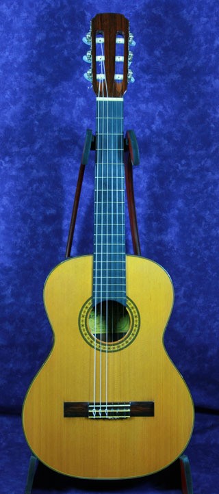 PEPE P-55 / (no251207)