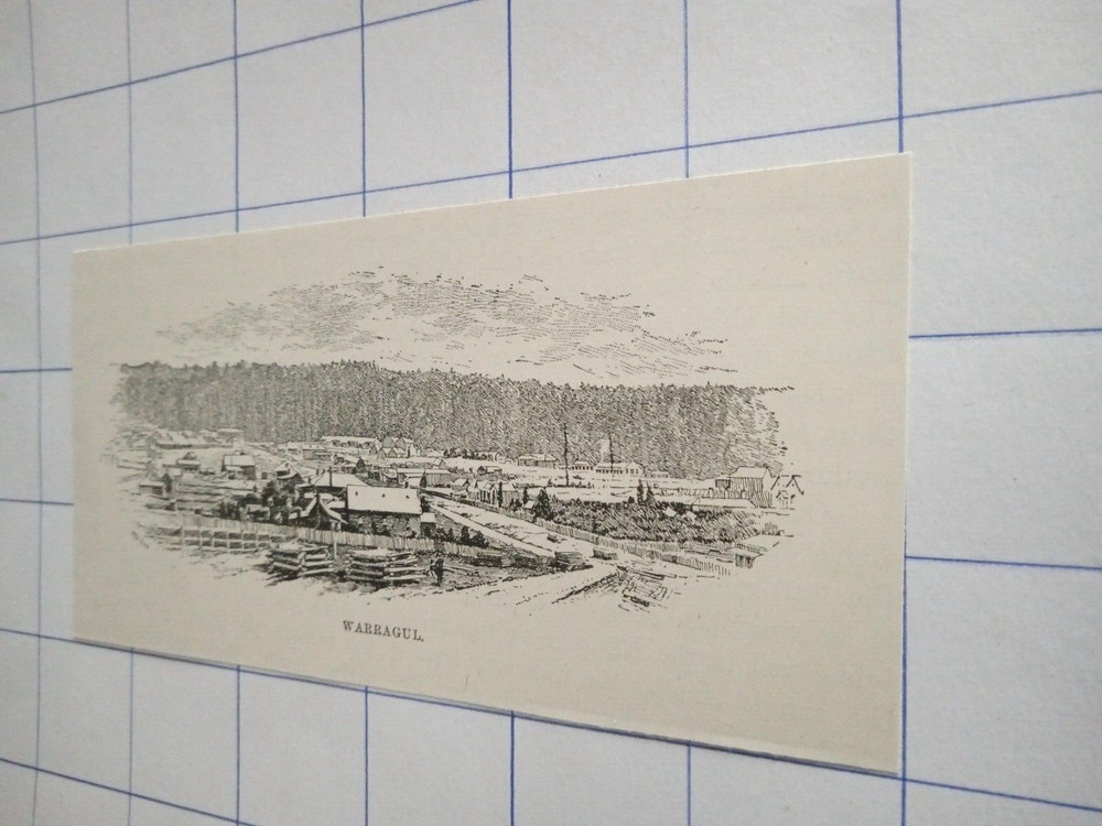 Warragul buildings homes streets 1890