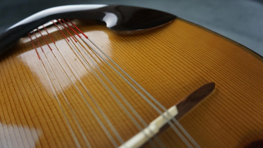 Venezia M-30 Hand Crafted Mandolin