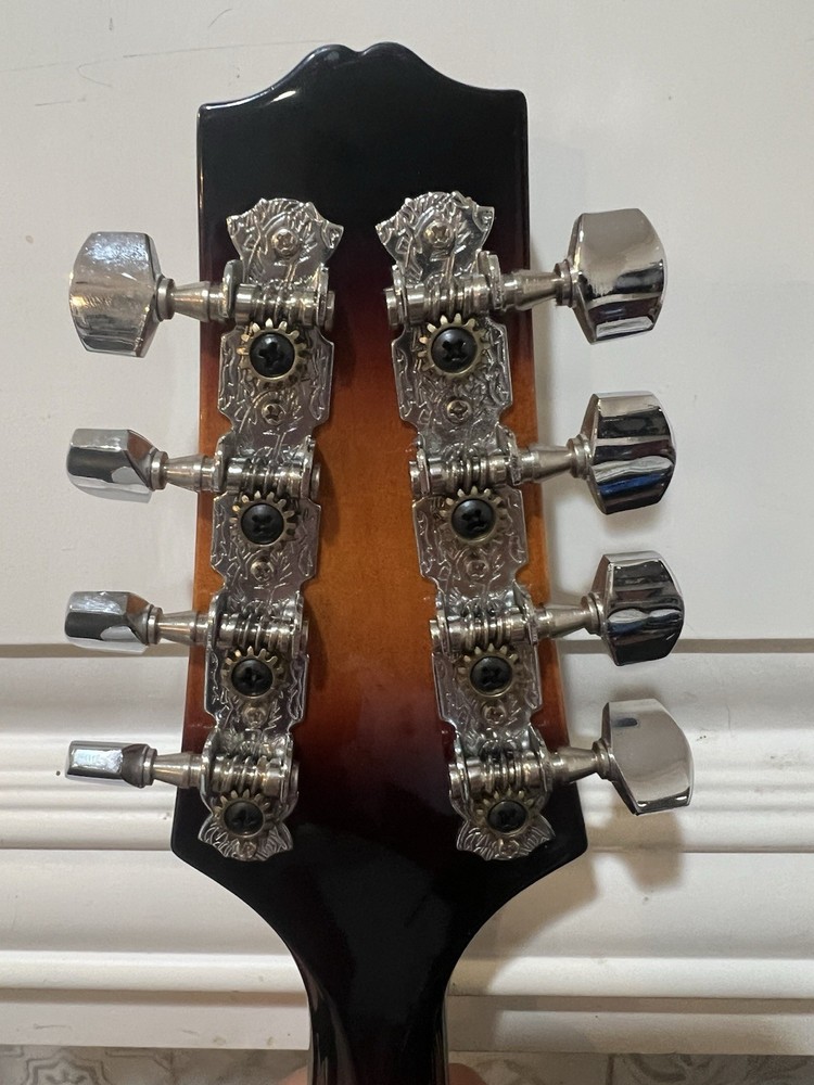 Rogue fine instuments Mandolin