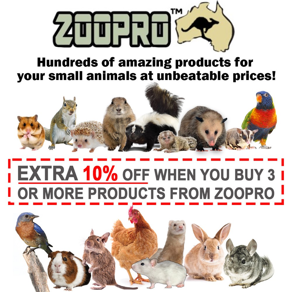 Rainbow Accessory Bundle - Toys / Cage Accessory - Sugar Glider, Squirrel, Degu