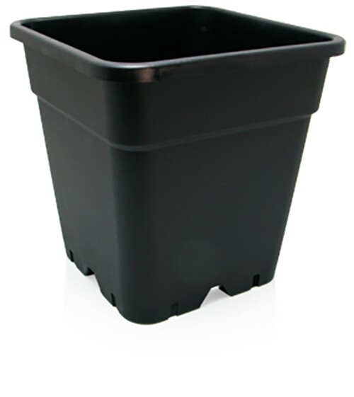 Planter 5.5" Square