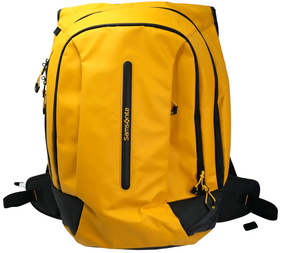 Samsonite ECODIVER Laptop 17.3" Backpack