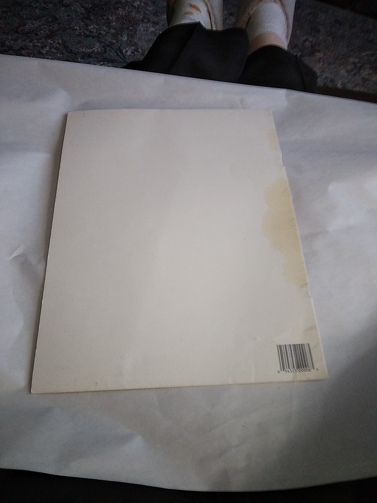 Daisy Bouquet Plastic Canvas Pattern Booklet 89Ph7 Tissue Box Planter Basket