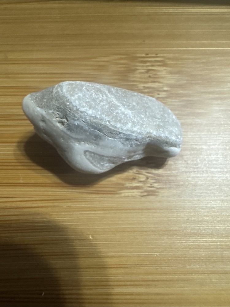 Quartzite, a type of Metamorphic Rock