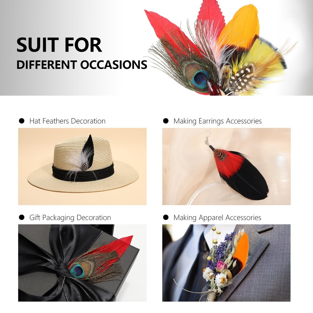 SendyFeather Hat Feathers 20 Styles Natural Assorted 4-6Inch, Multicolored