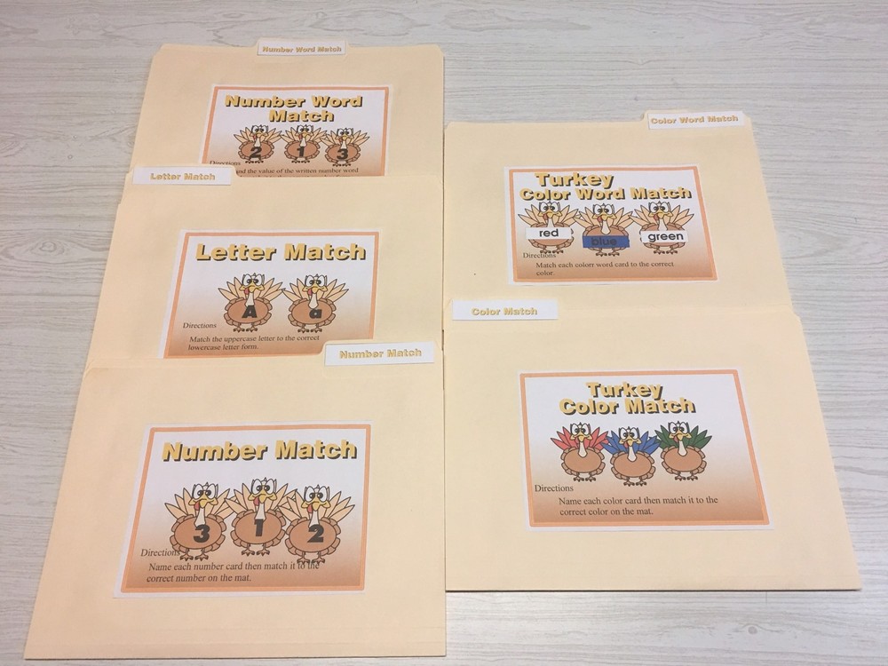 DIY KIT - 5 File Folder Set  - Activity -Turkeys UNCUT