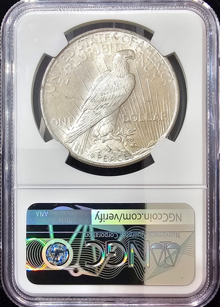 1924 Peace Dollar MS-66 NGC VIDEO