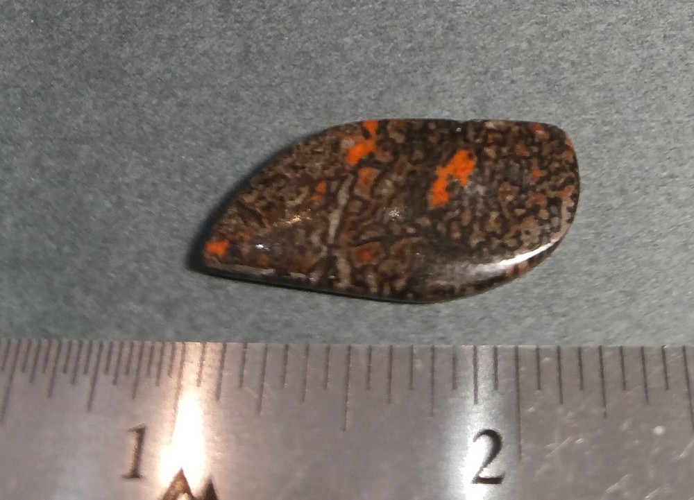Dinosaur Bone Cabochon - Red, Red Cells!!!