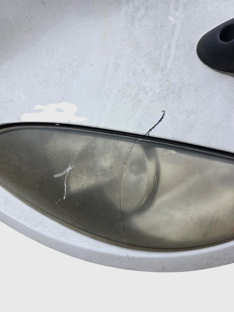 Internation Prostar Hood