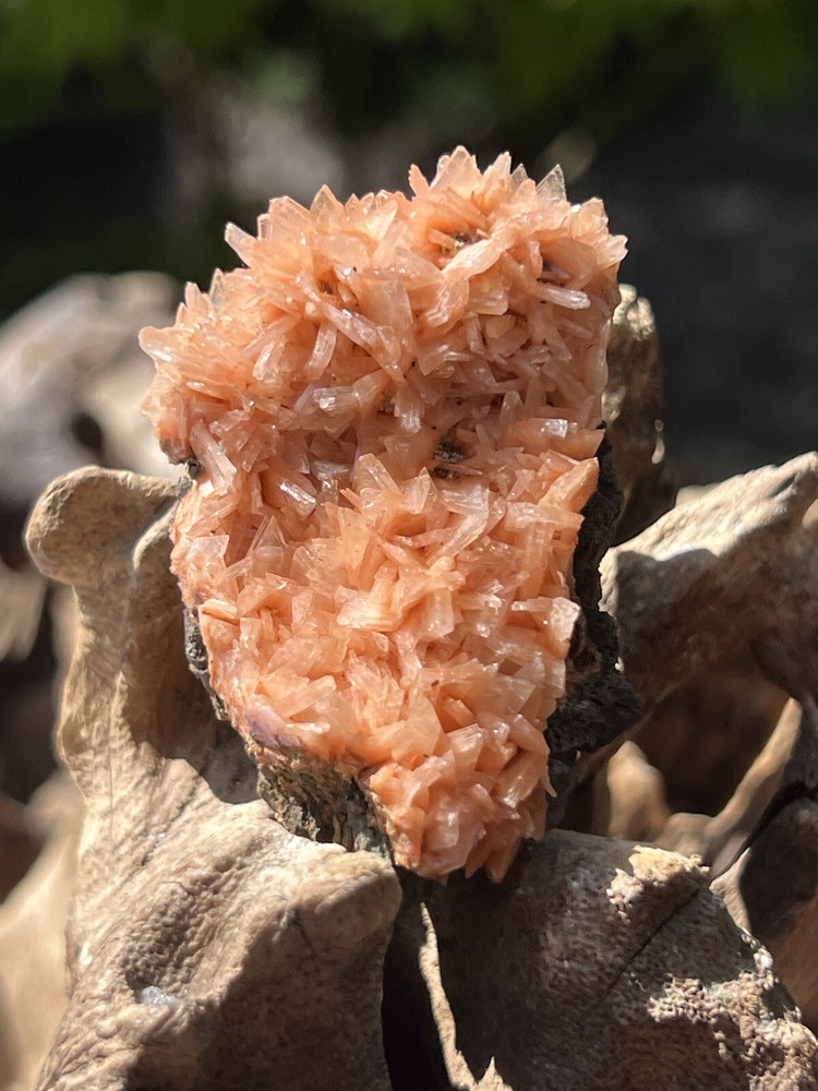 Orange Heulandite Cluster Bed Bright Colouring AAA+ 7