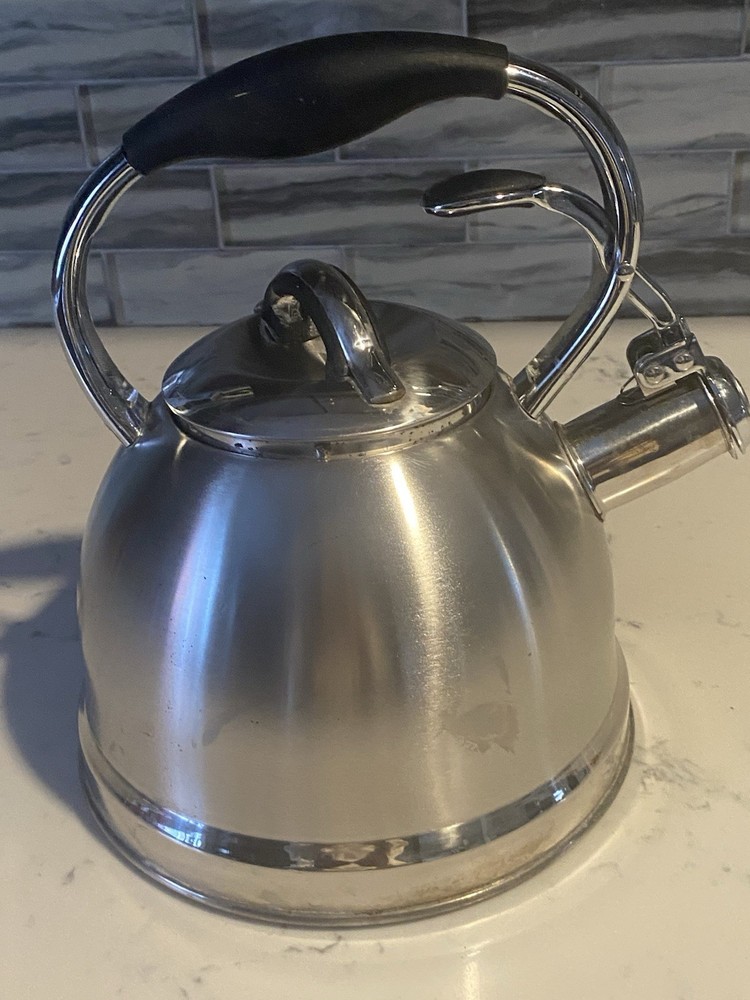 Well Equipped Kitchen Stainless Steel Tea Kettle Black Handle