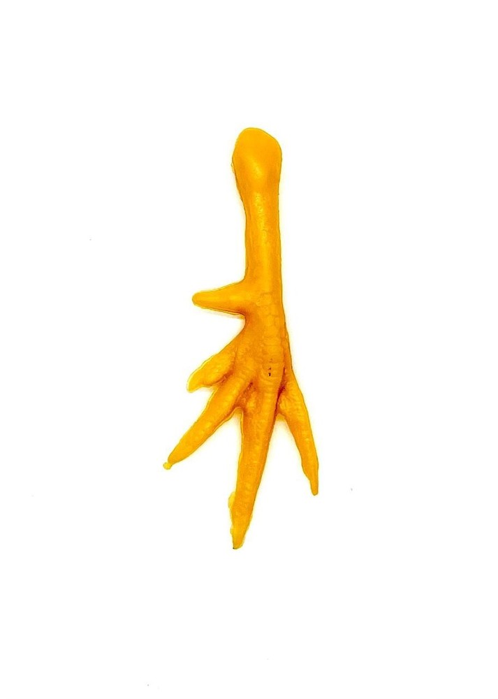 Pata De Plástico De Gallo Practicar / Plastic Rooster Leg Model Practice