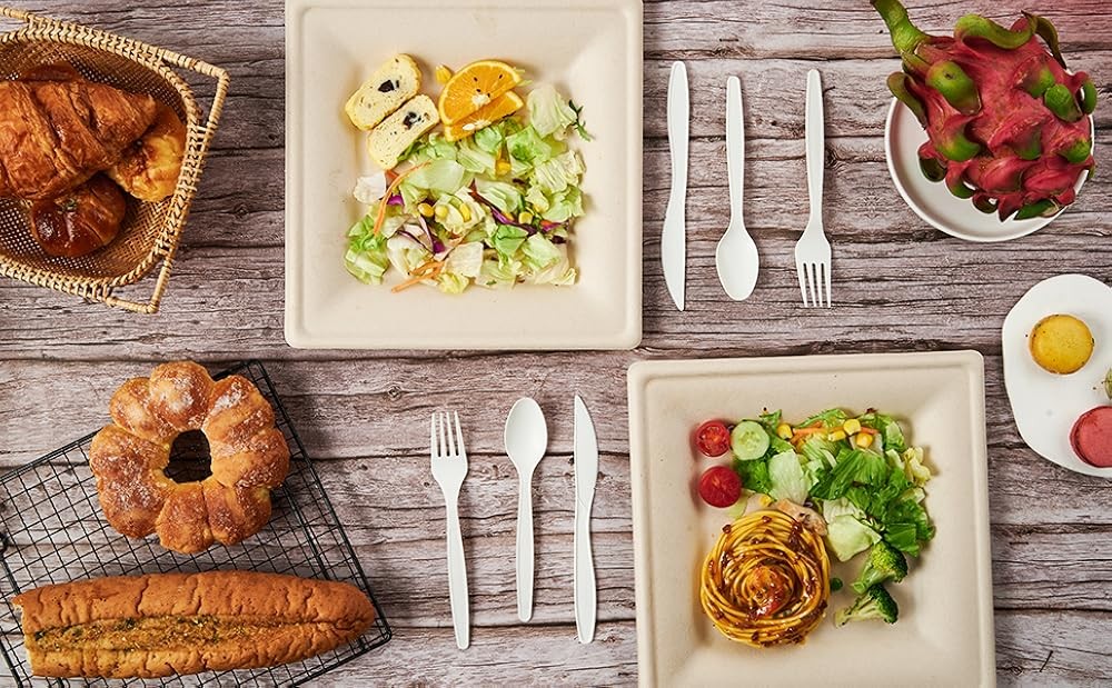 postable Square Paper Plates 6 inch Disposable, Eco-friendly