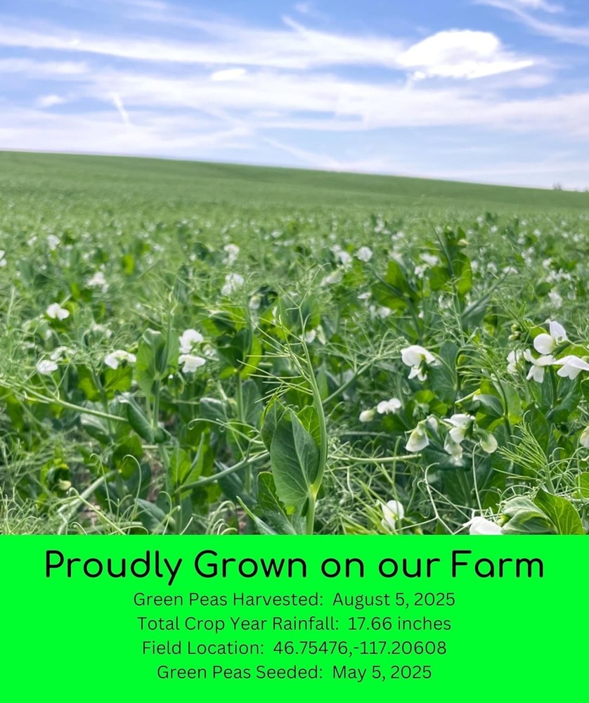 High Quality Split Peas 25 Lb - Glyphosate Free, Kosher, , Field Traced