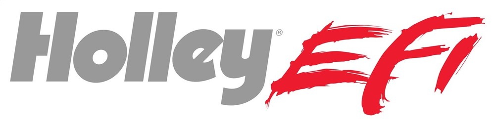 Holley Efi 557-100 Water/Methanol Injection Pump