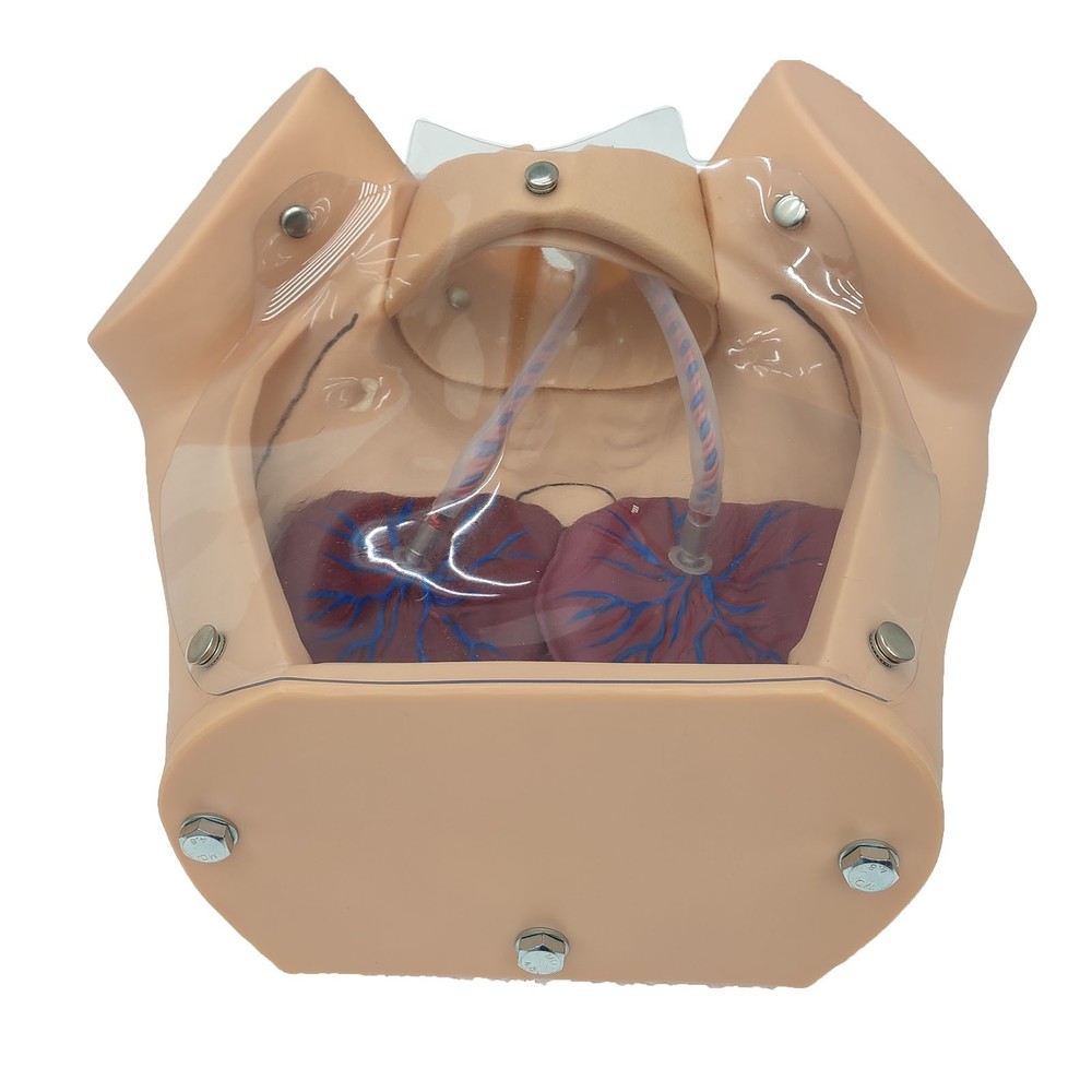 Female Childbirth Model Simulation Childbirth Comprehensive Skill Training Model