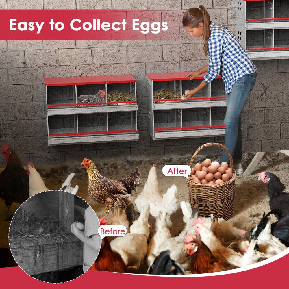 6 Hole Chicken Nesting Boxes Metal Egg Laying Brooding Box With Vent Hole Set