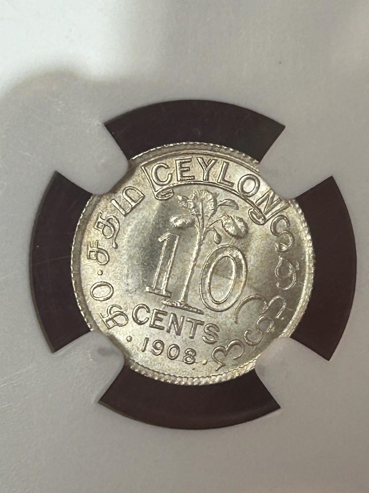 Ceylon 10 Cents 1908 MS66 Top Pop