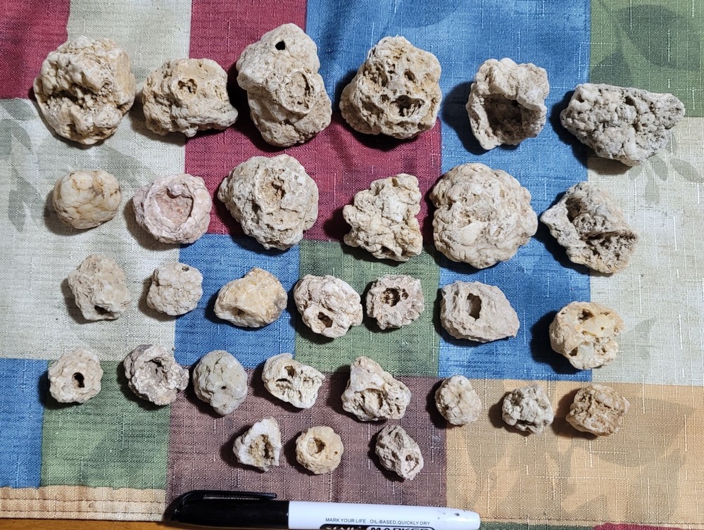 30 ( 1"- 2" L) TN Piney River Geodes Quartz Rocks Quartzsite