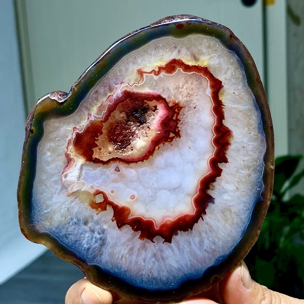 287G Natural Beautiful Agate Geode Druzy Slice Extra Large Gemstone