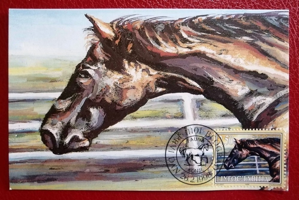 Yugoslavia 1998 - Horse, maximum card