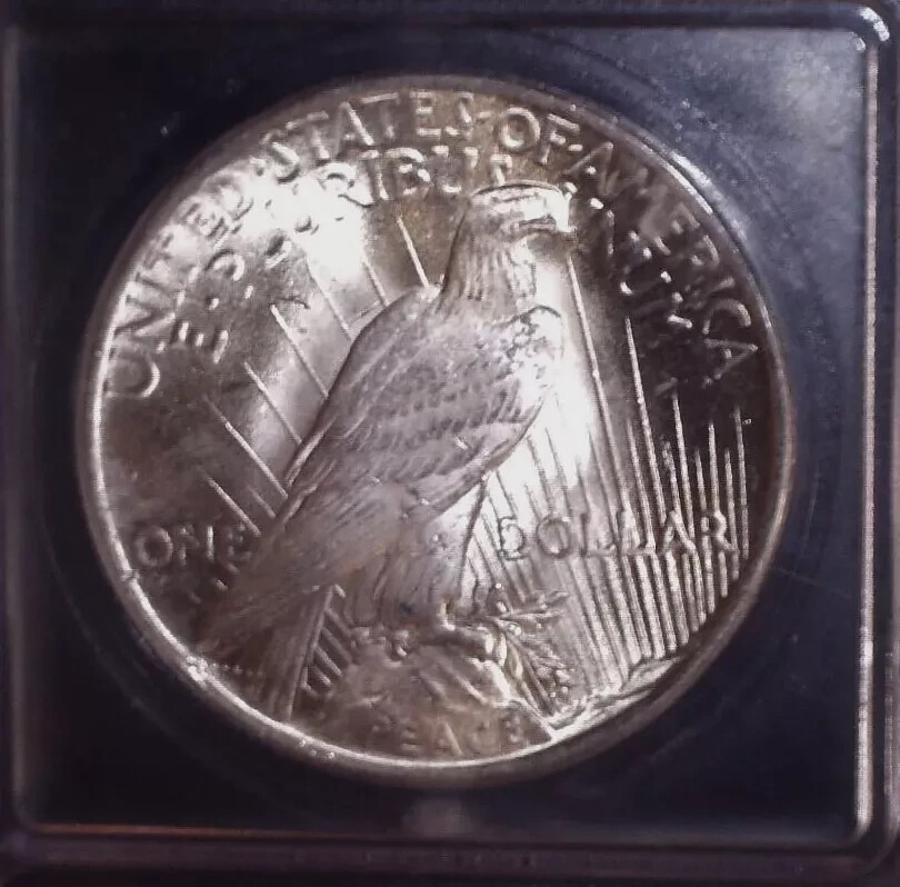 1925 Peace Silver Dollar, ICG MS65.Bright White, Issue Free, Gem Grade !!