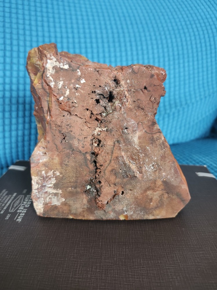 Decorative Jasper Slice On Cork Base