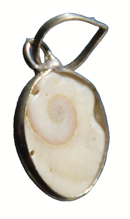 Snail Fossil Pendant