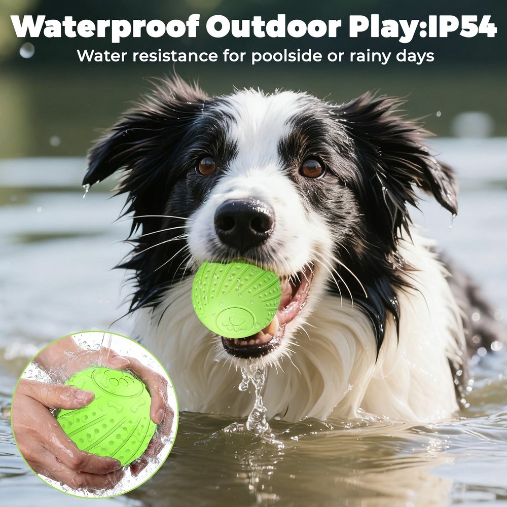 Remote Controlled Interactive Dog Ball Toy with Silent Motion LED Auto Avoidance