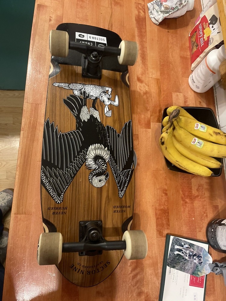 sector 9 longboard