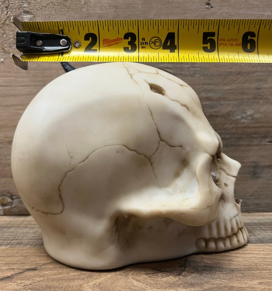 Dragon/Skull Resin Tabletop Decor 6" x 5.5"