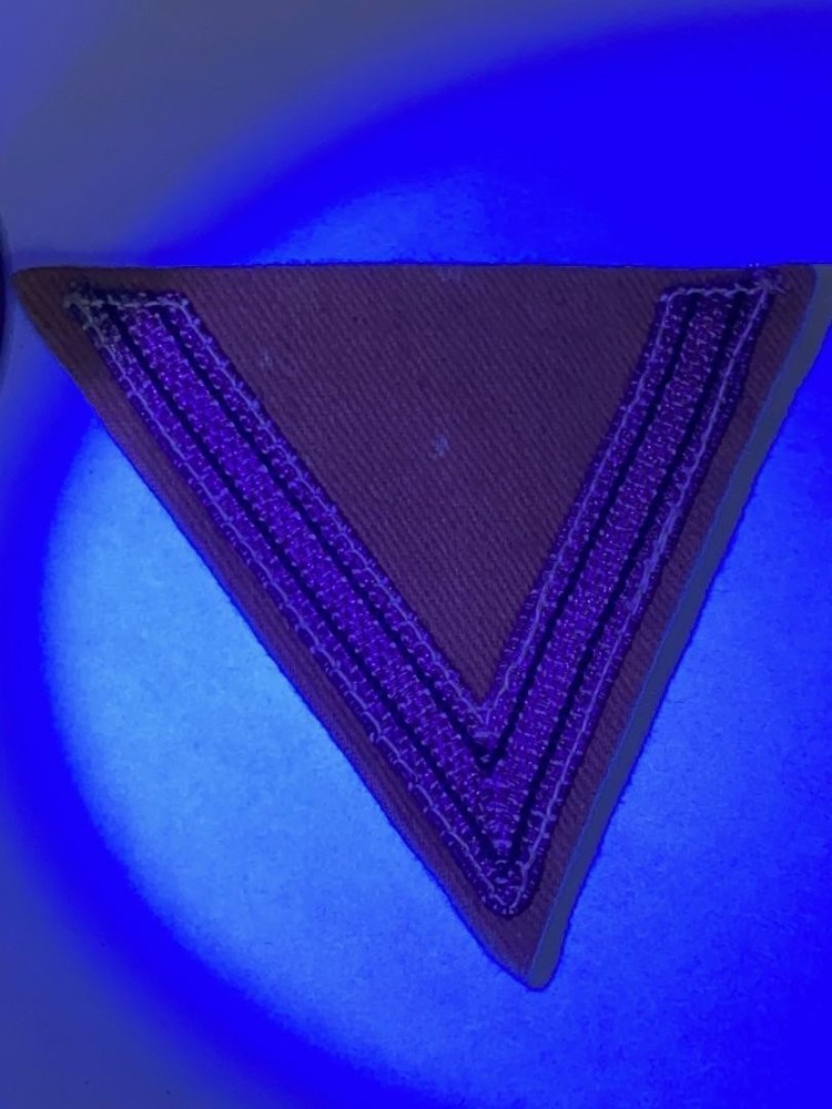 WW2 German ELITE OLD GUARD, HONOUR CHEVRON MINT