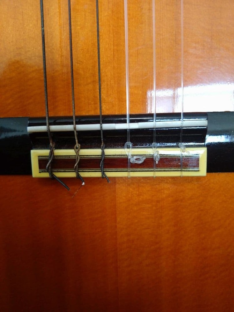 Yamaha Guitar C-250A